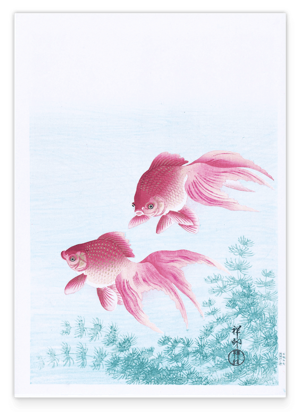 Ohara Koson - Rosa Fische