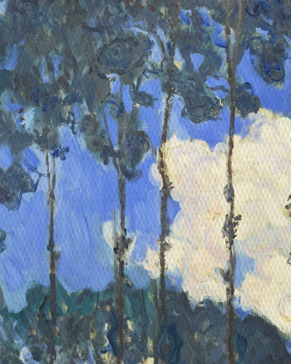canvas