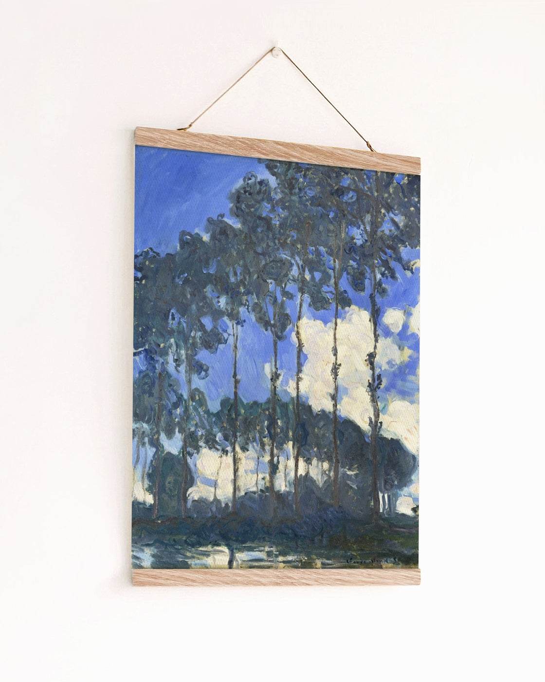canvas