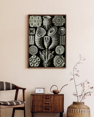 After Hover: Ernst Haeckel - Kunstformen des Meeres