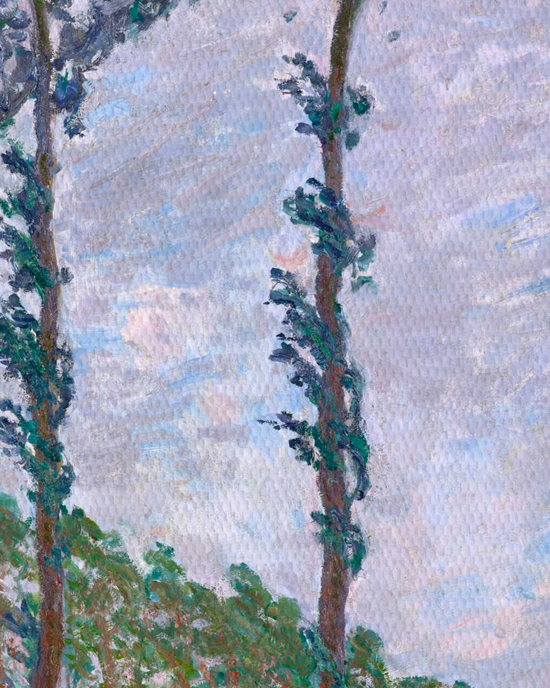 canvas