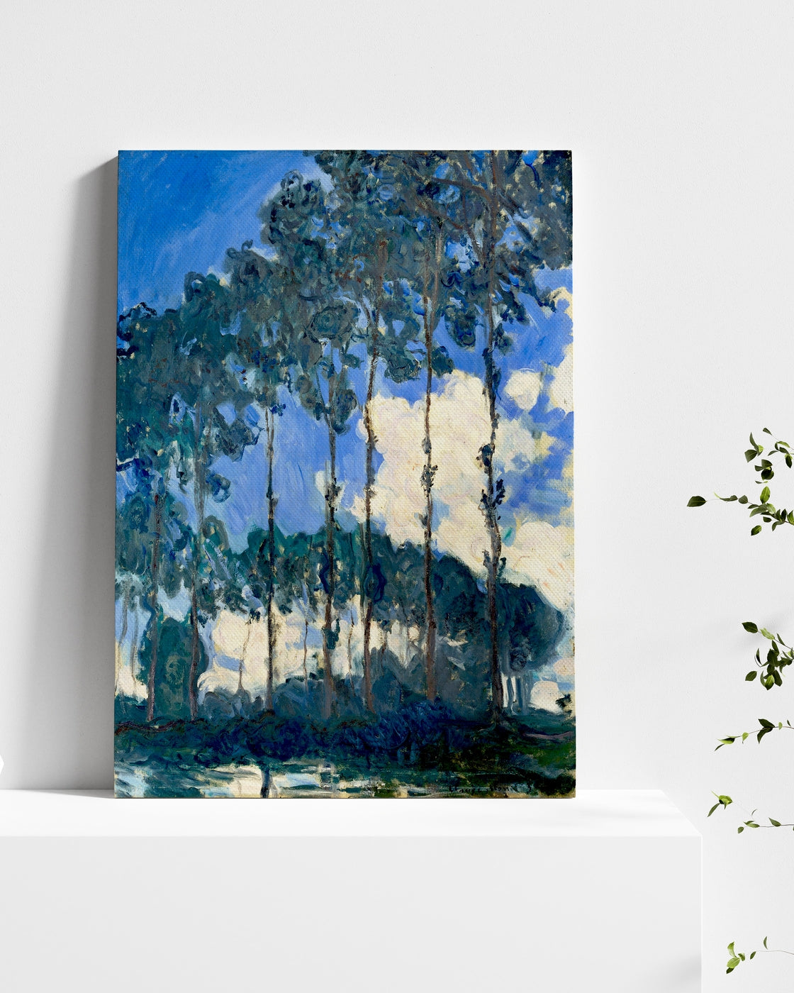 stretched-canvas