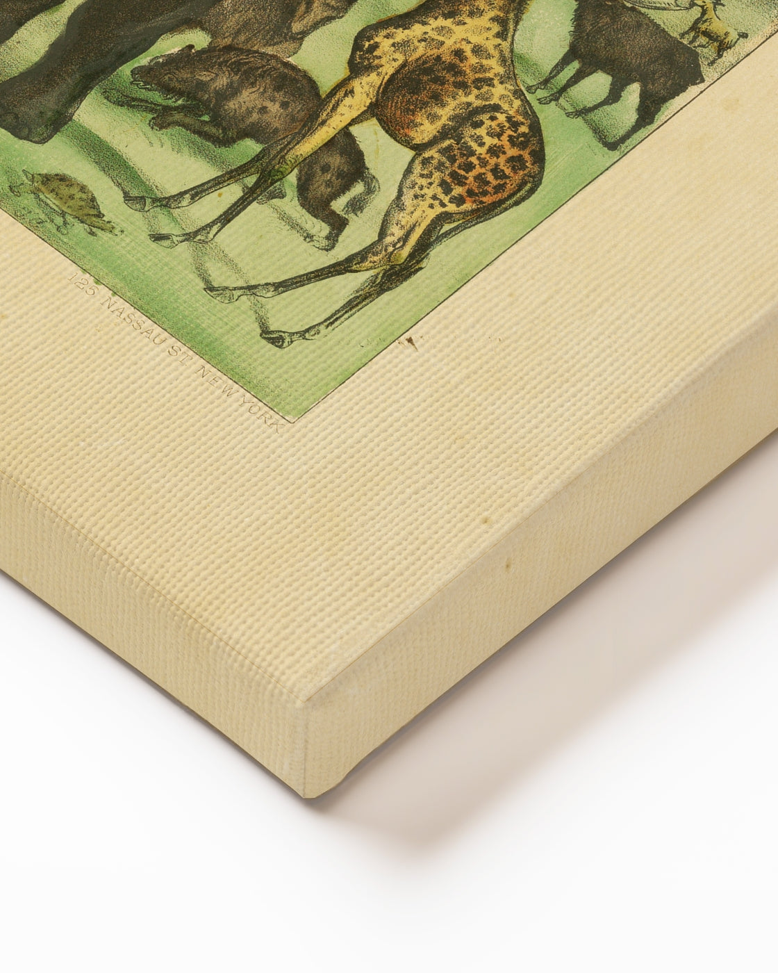 stretched-canvas