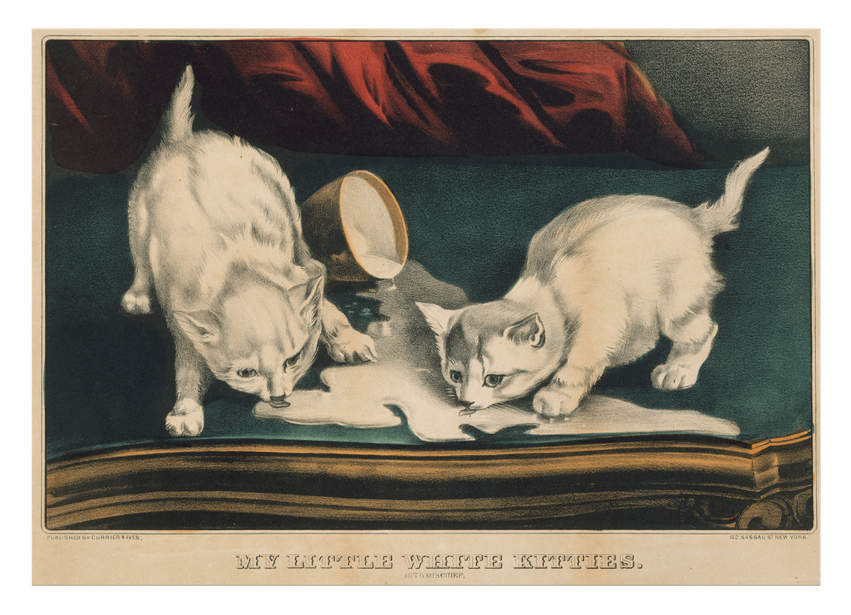 Currier and Ives - My little white Kitties