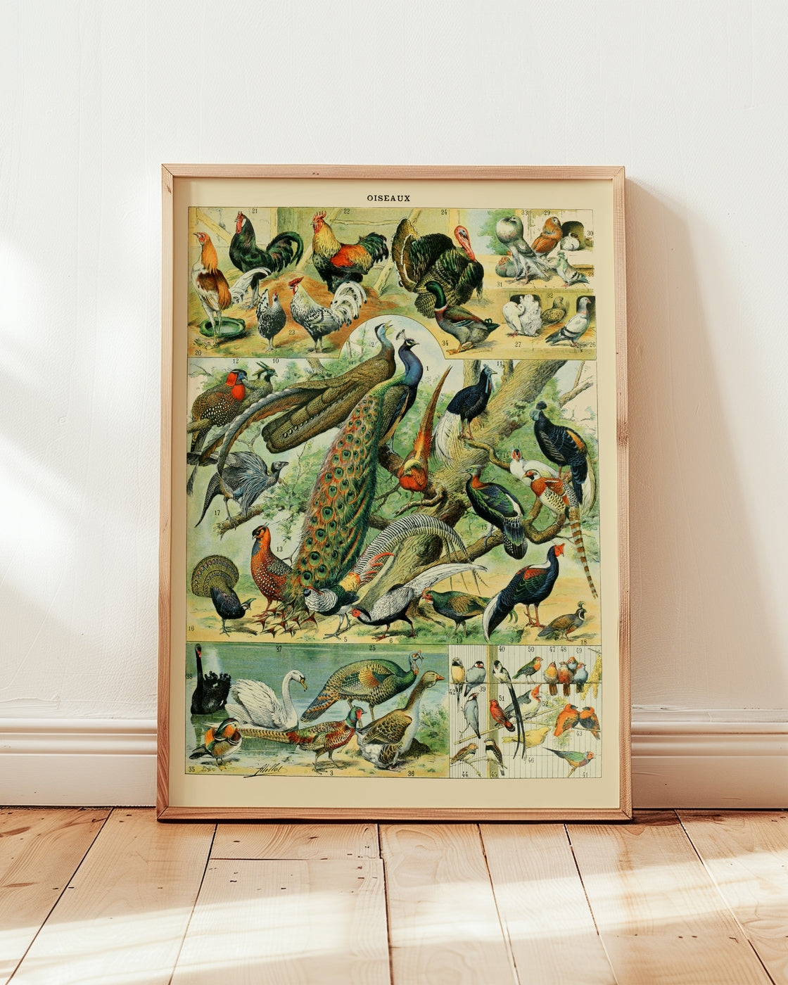 poster