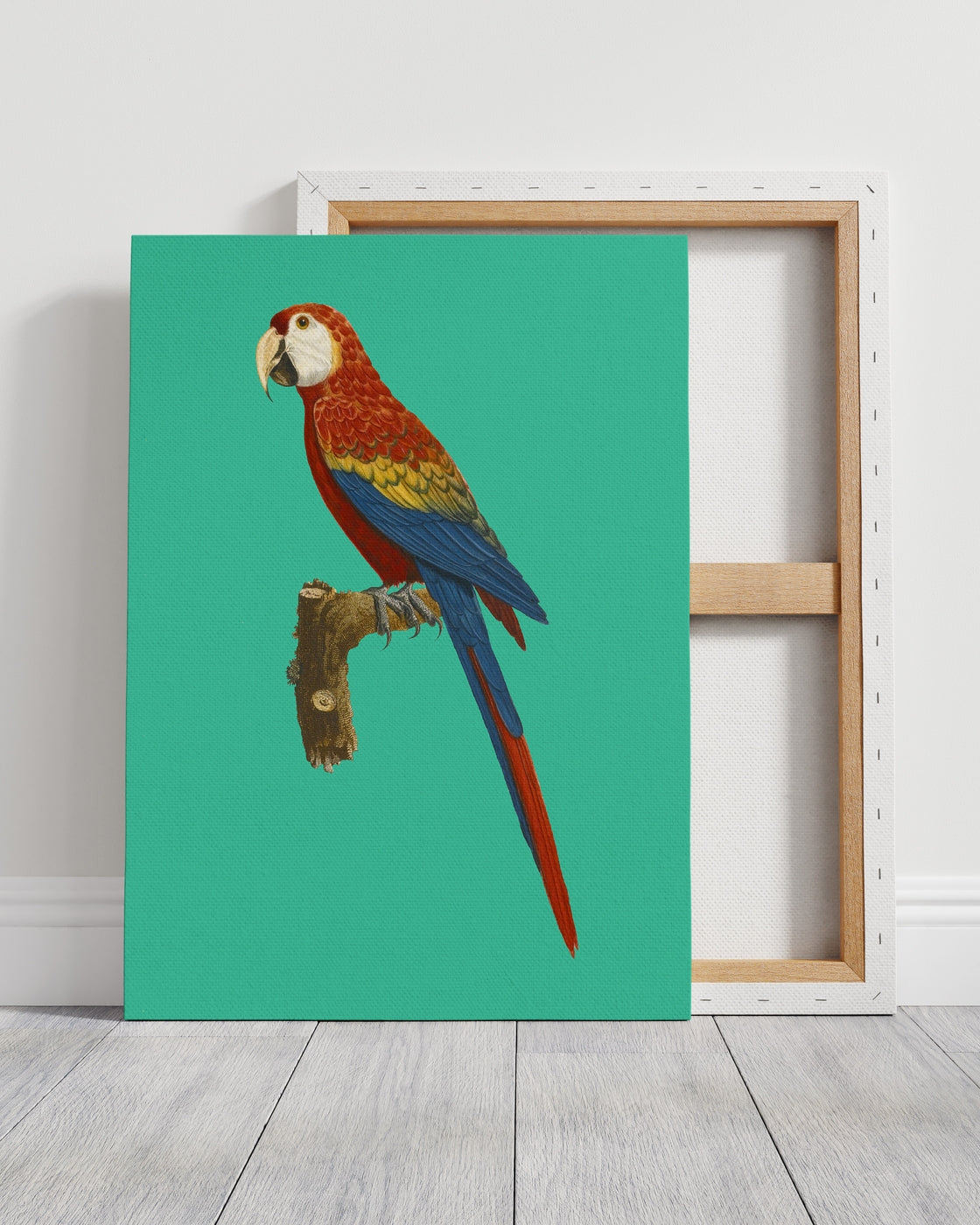 stretched-canvas
