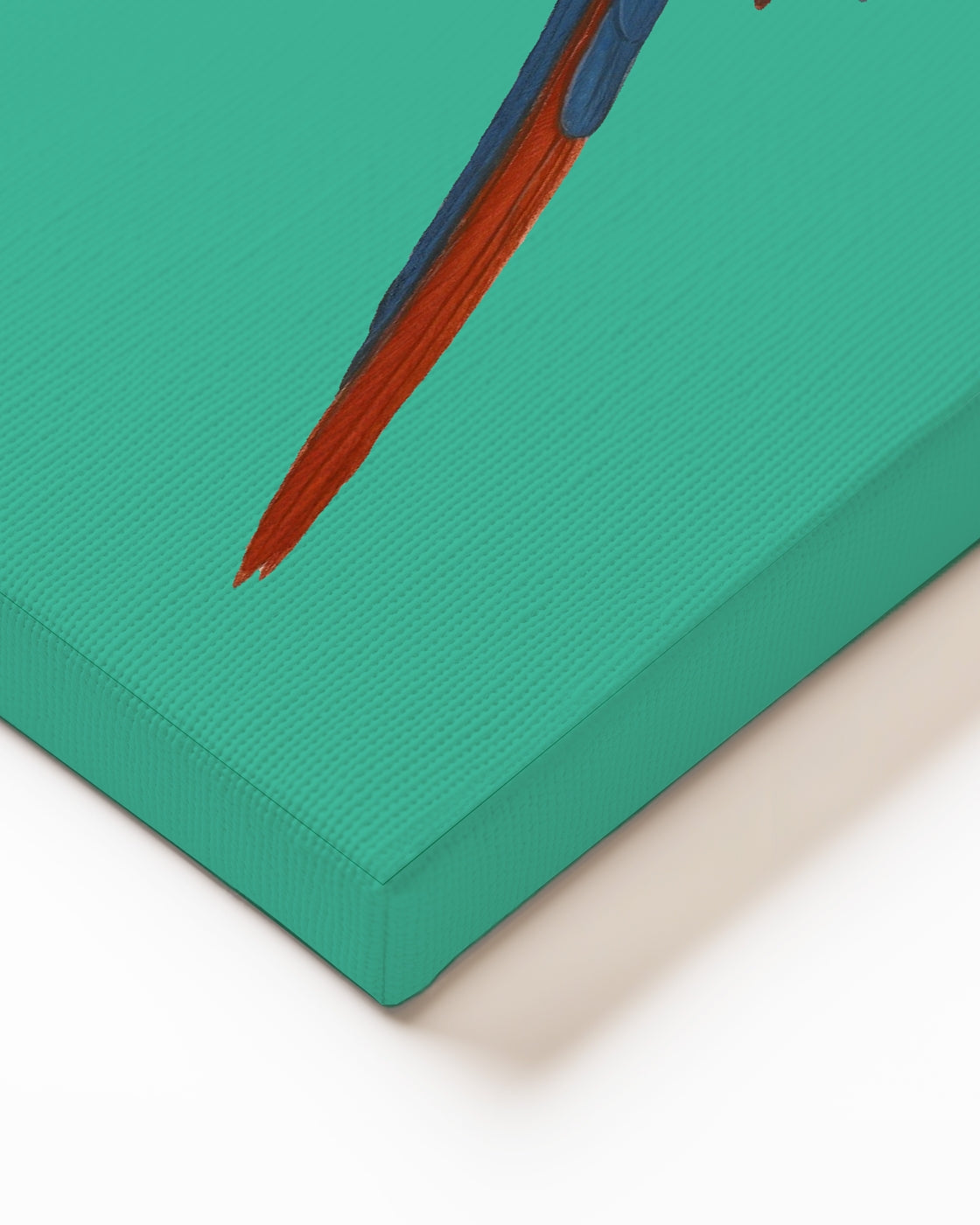 stretched-canvas