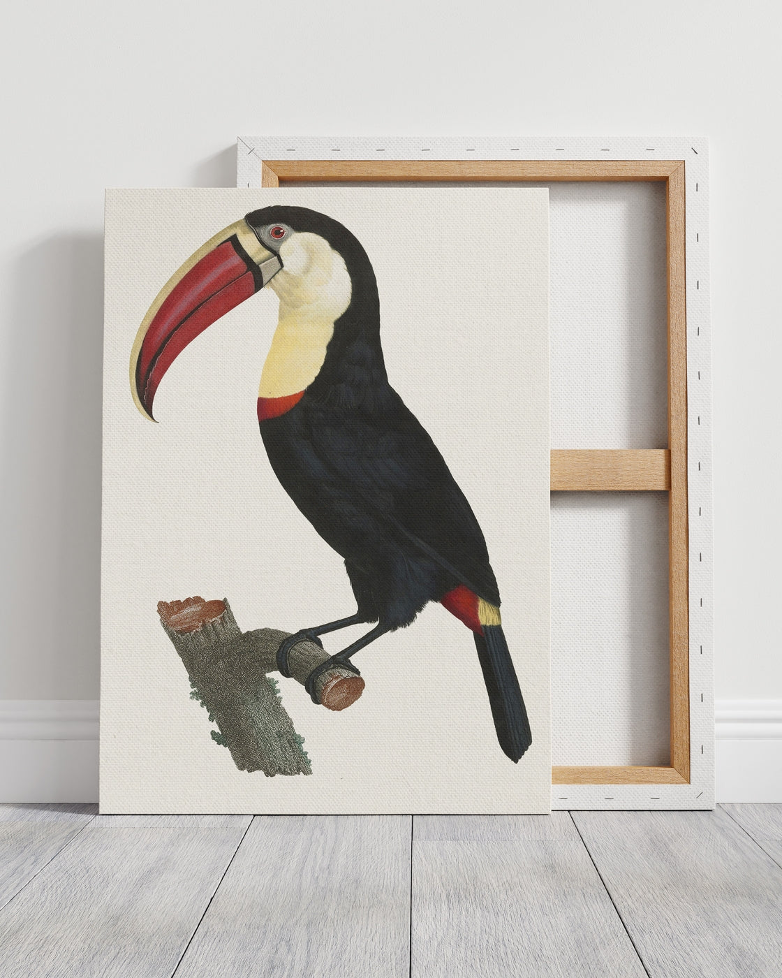 stretched-canvas