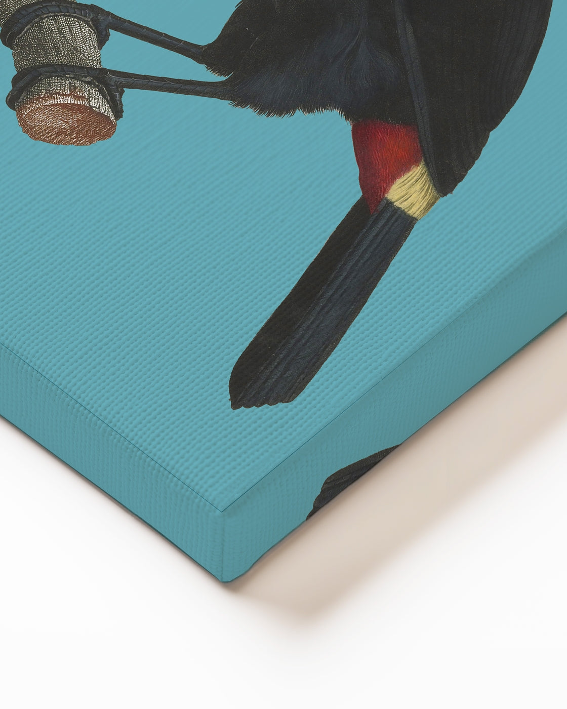stretched-canvas