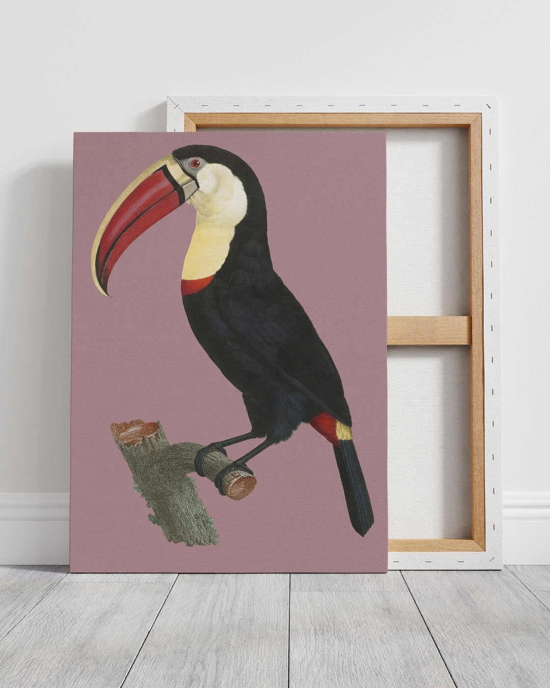 stretched-canvas