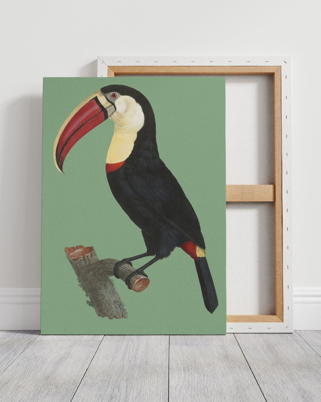 stretched-canvas