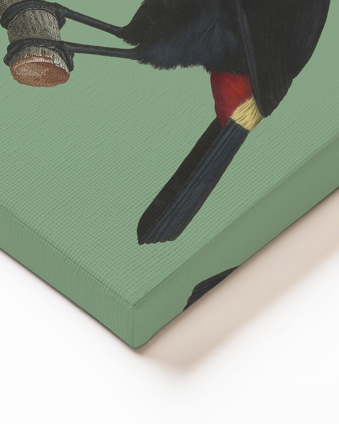 stretched-canvas