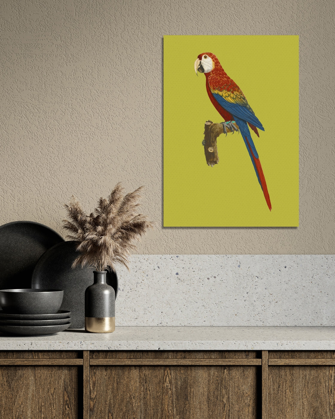 stretched-canvas