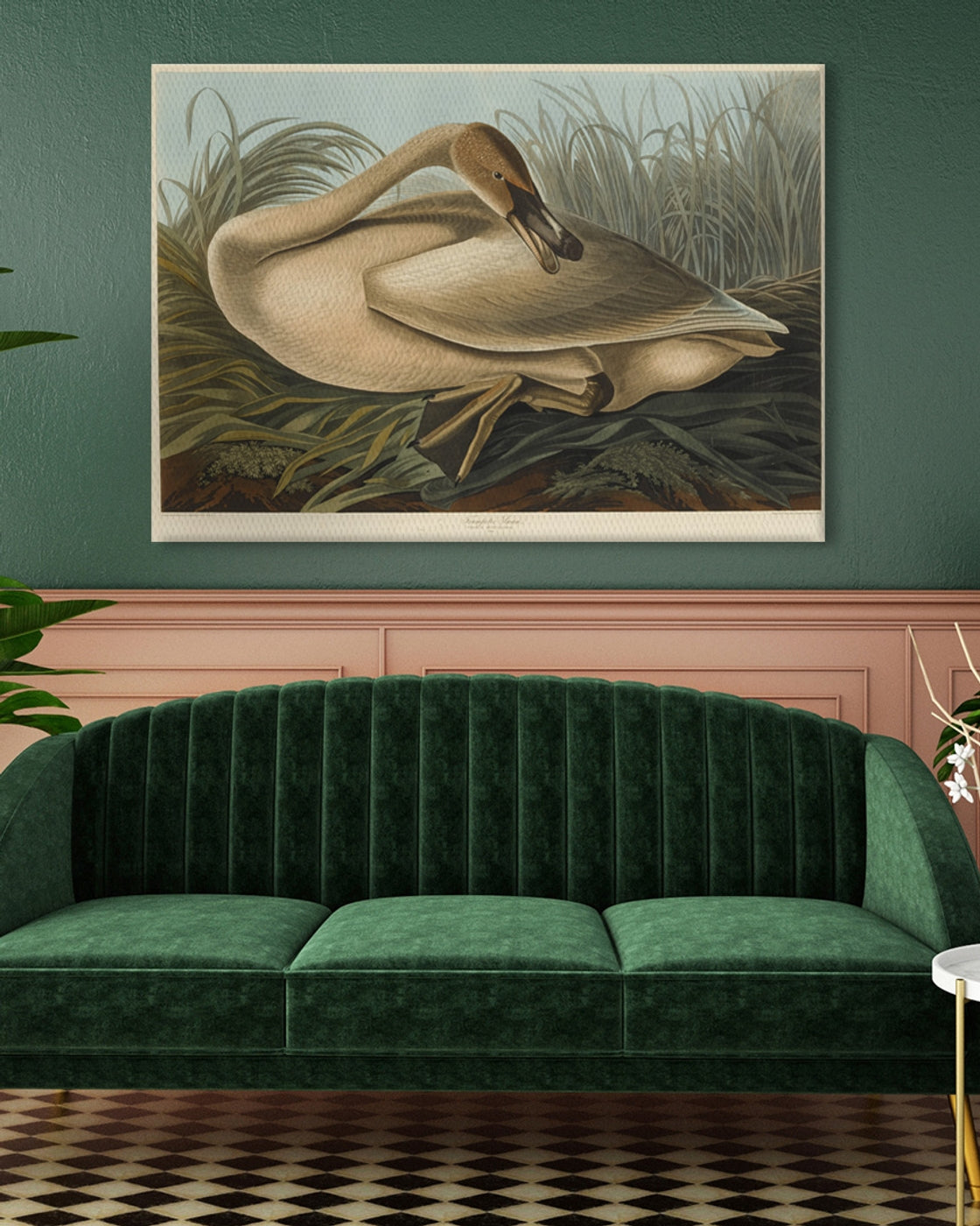 stretched-canvas