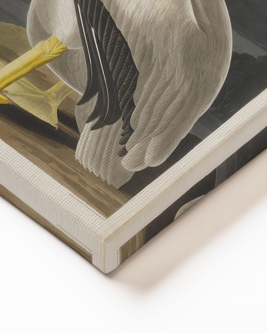 stretched-canvas