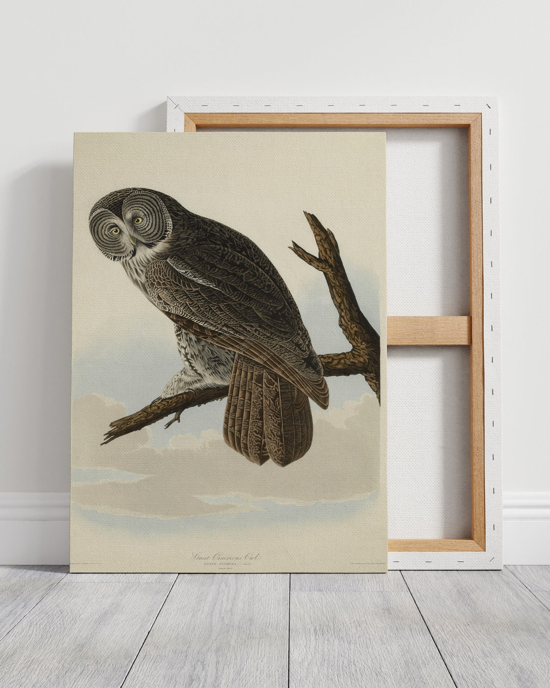 stretched-canvas
