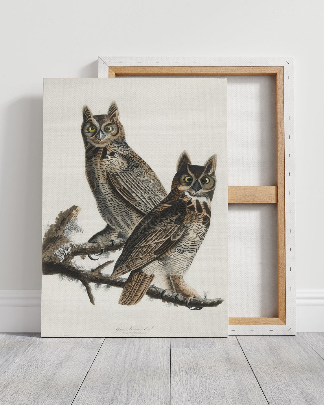stretched-canvas