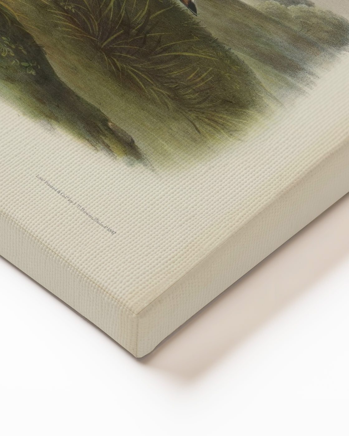 stretched-canvas