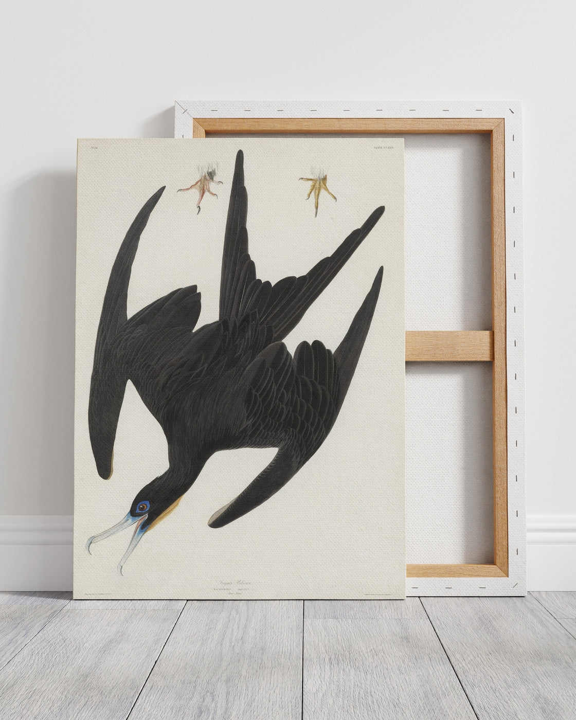 stretched-canvas