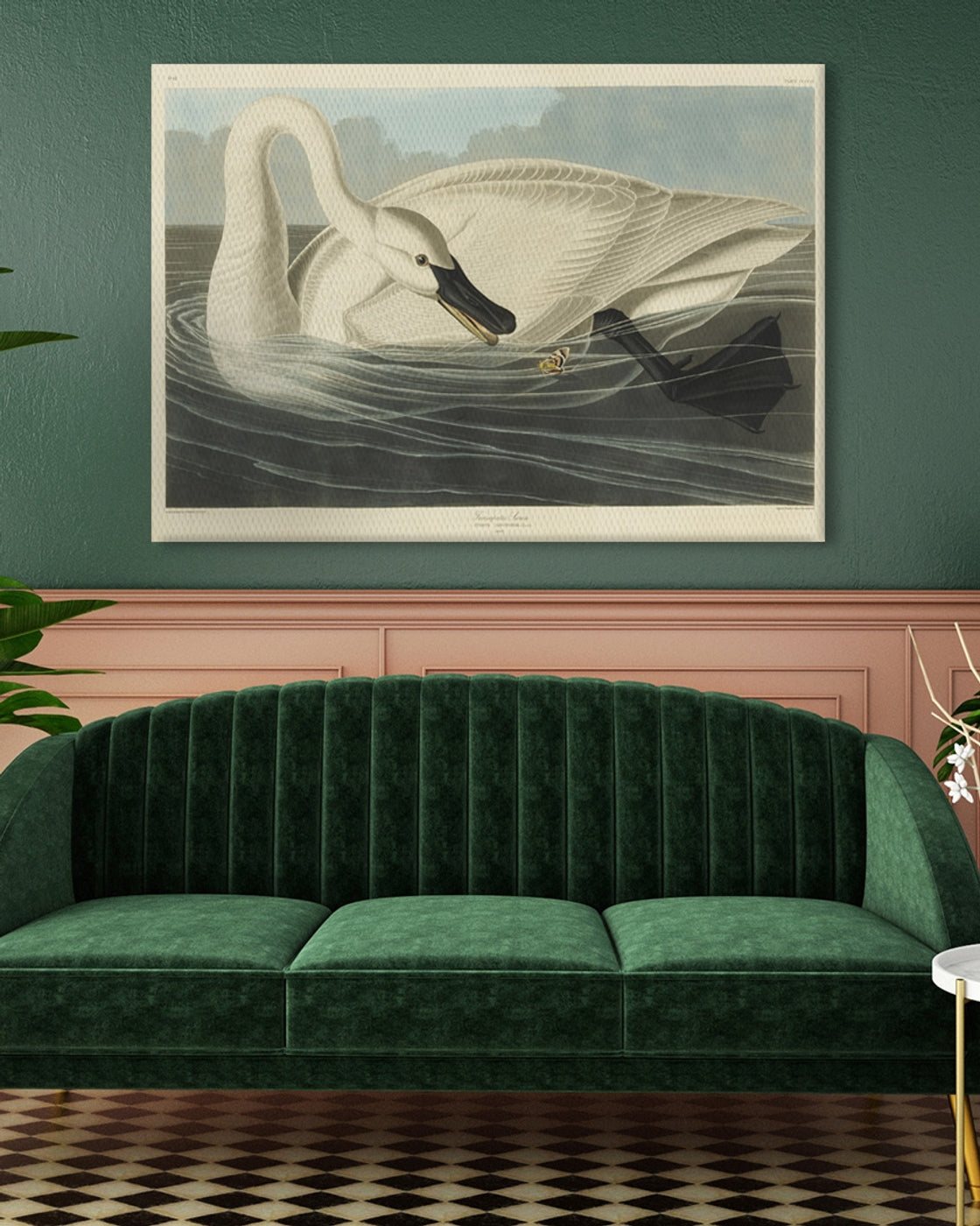 stretched-canvas