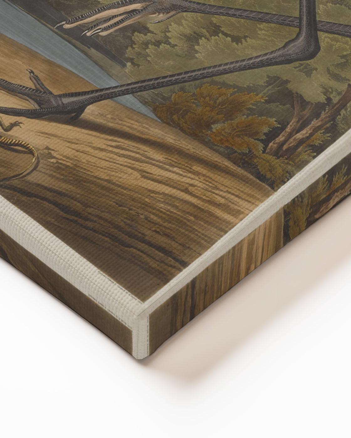 stretched-canvas