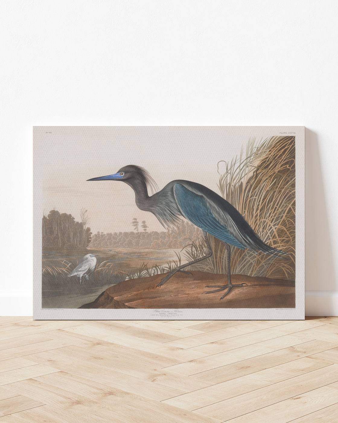 stretched-canvas