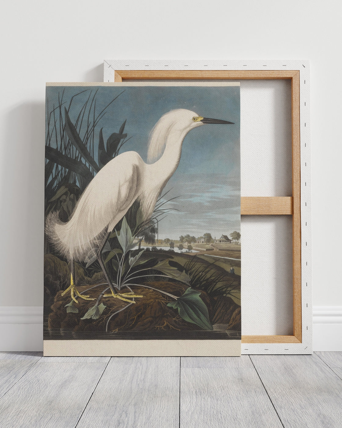 stretched-canvas