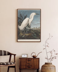 After Hover: John James Audubon - Weißer Vogel am Teich