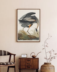 After Hover: John James Audubon - Kranich auf Futtersuche