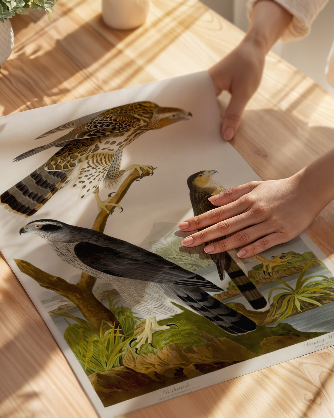 poster
