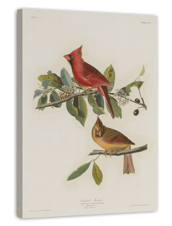 John James Audubon - Bunte Vögel auf Ästen