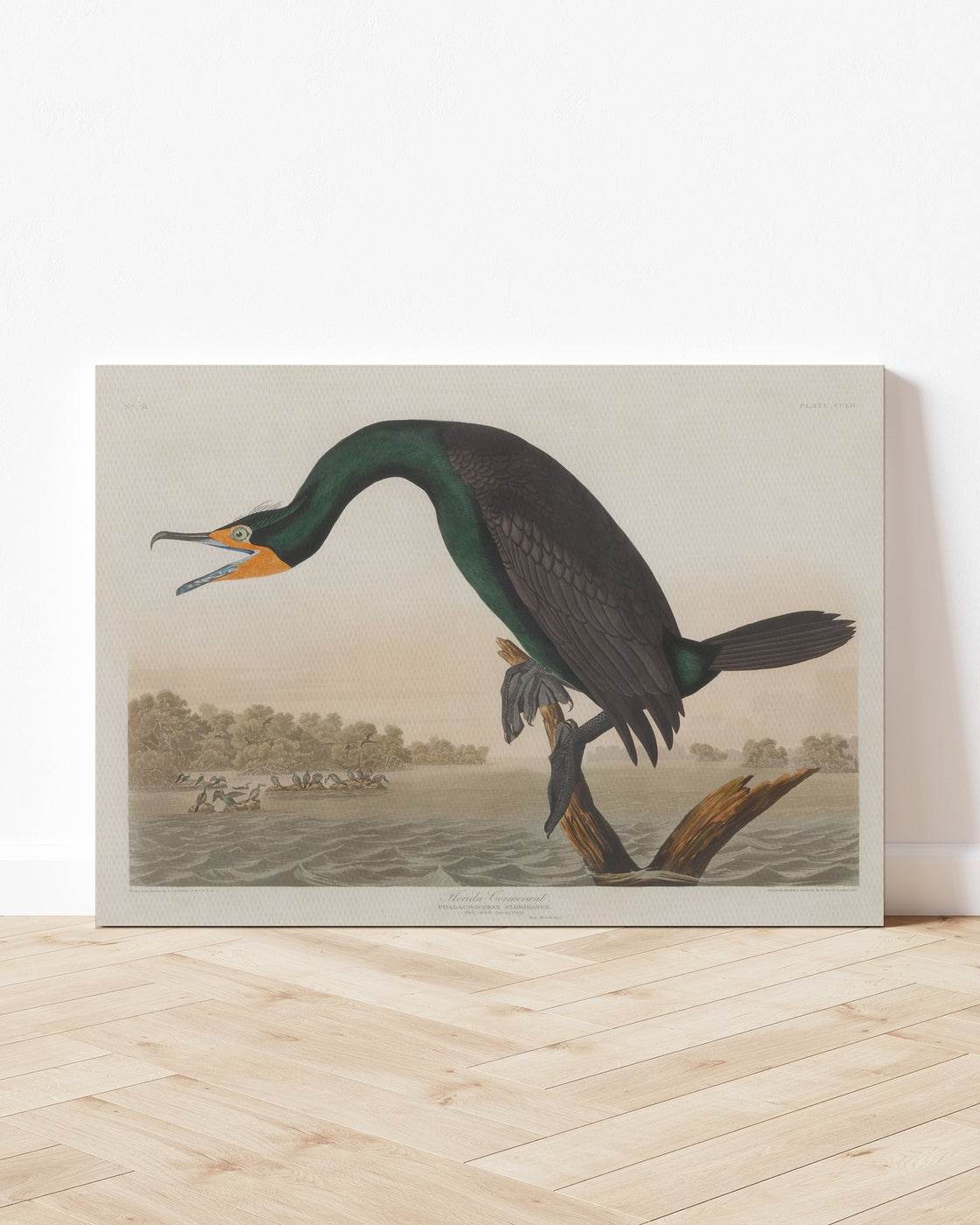 stretched-canvas