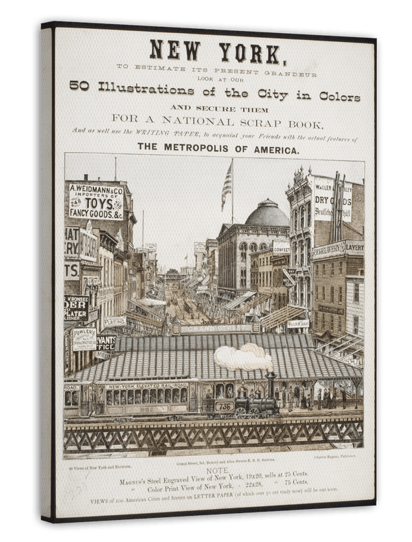 Charles Magnus - New York - The Metropolitan of America