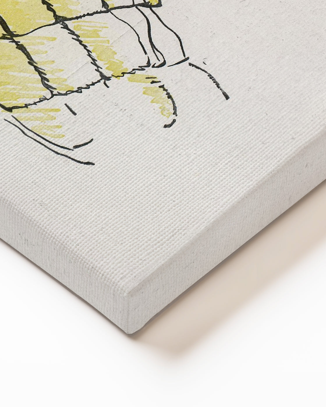stretched-canvas
