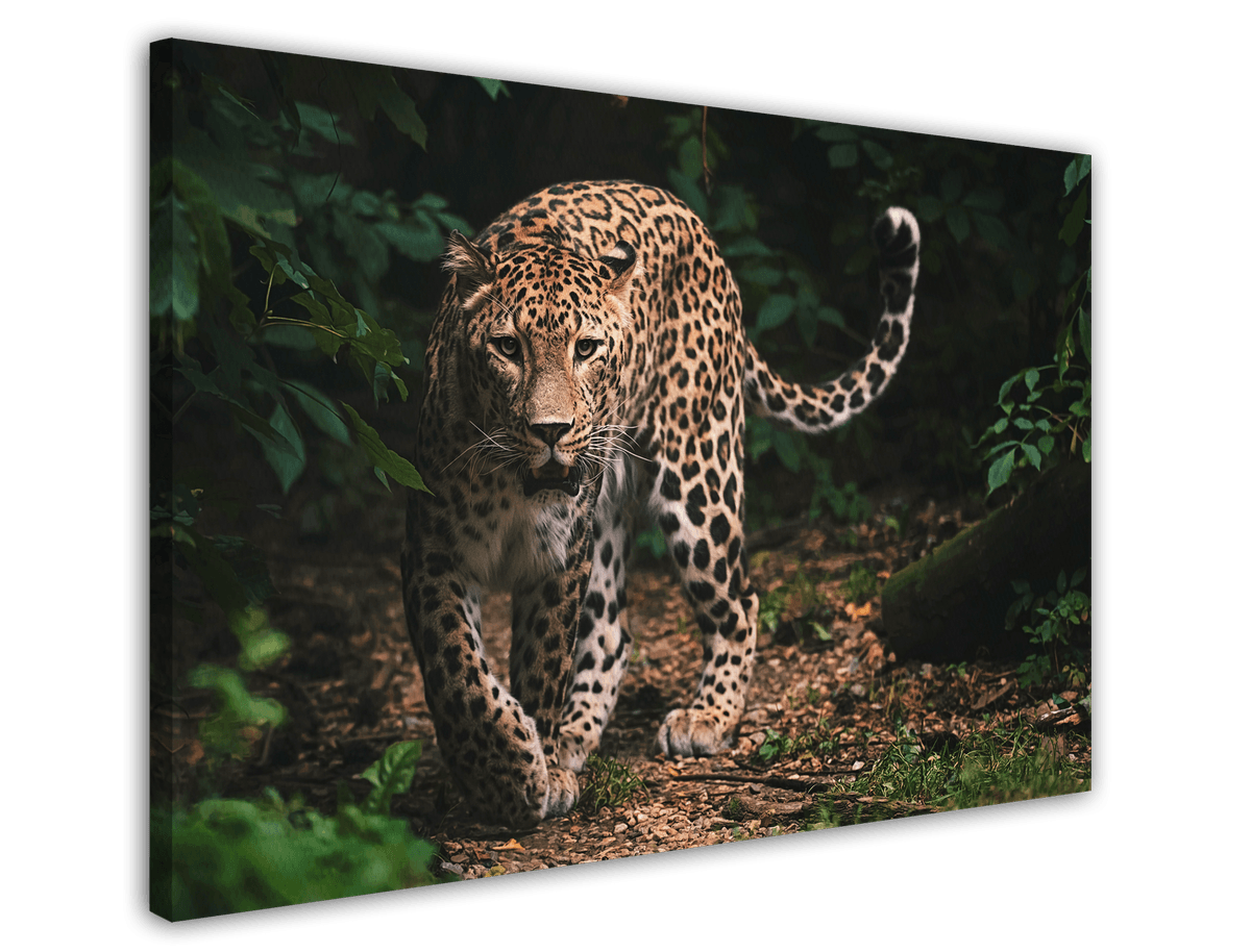 stretched-canvas