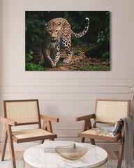 After Hover: Leopard in der Wildnis