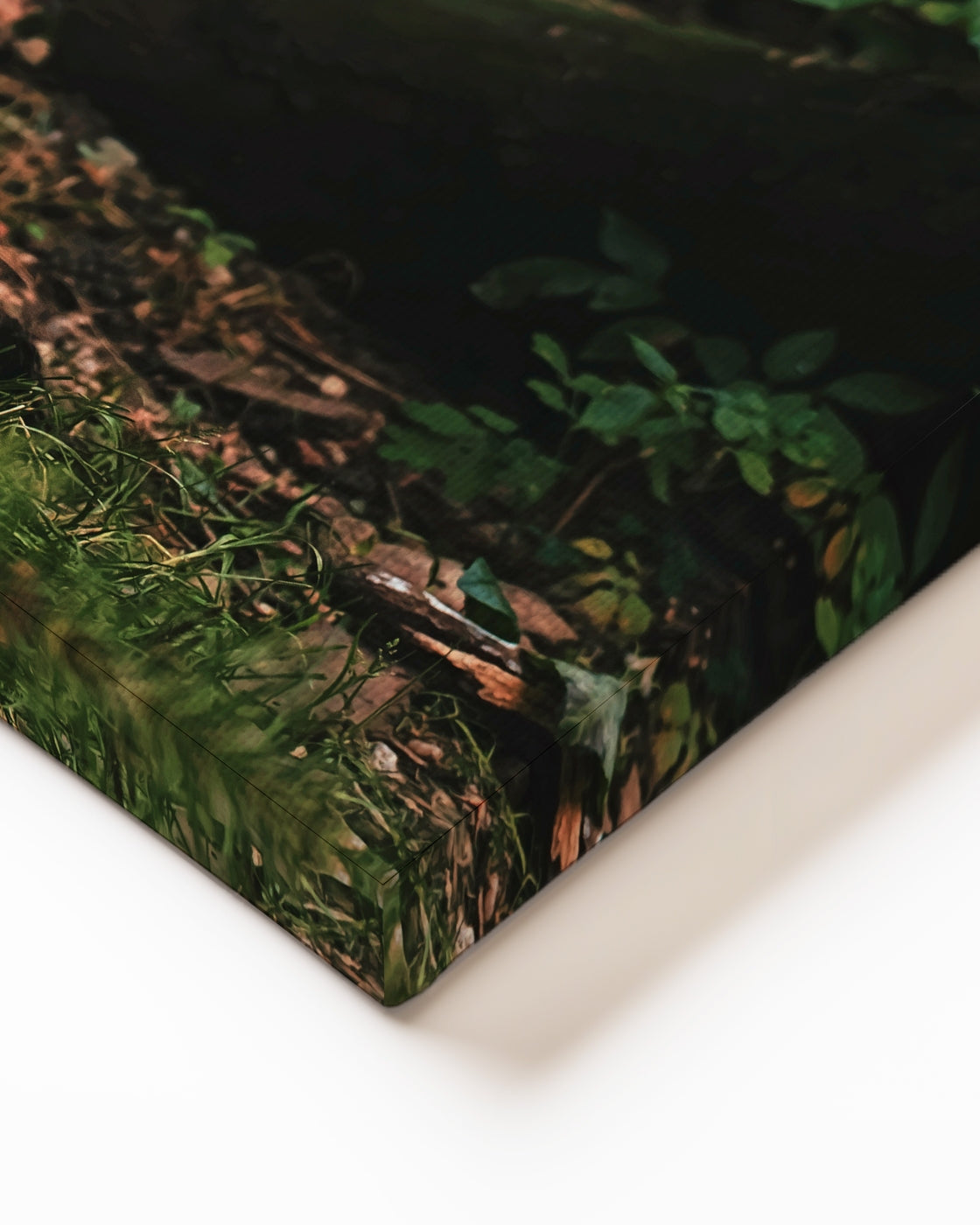 stretched-canvas