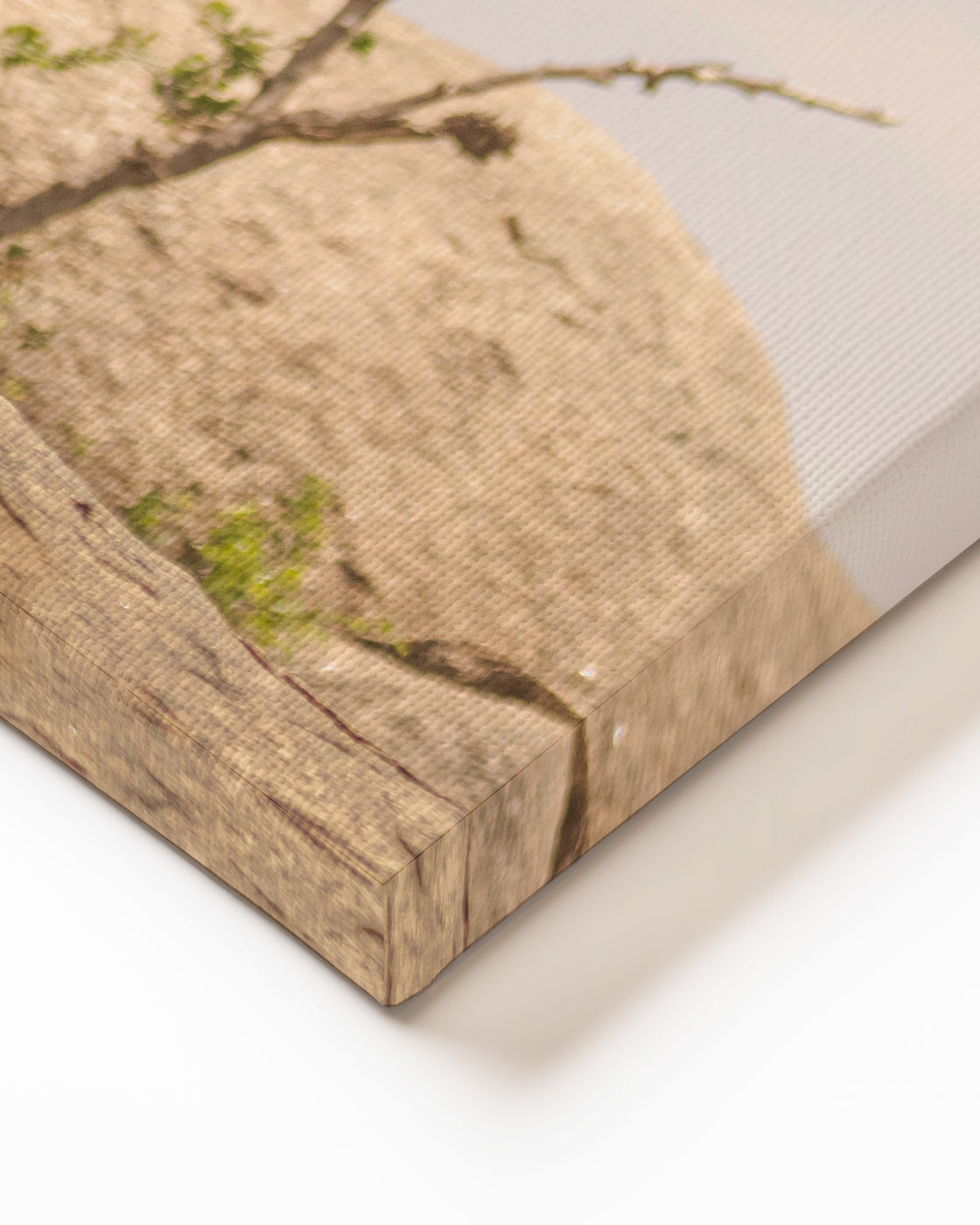 stretched-canvas