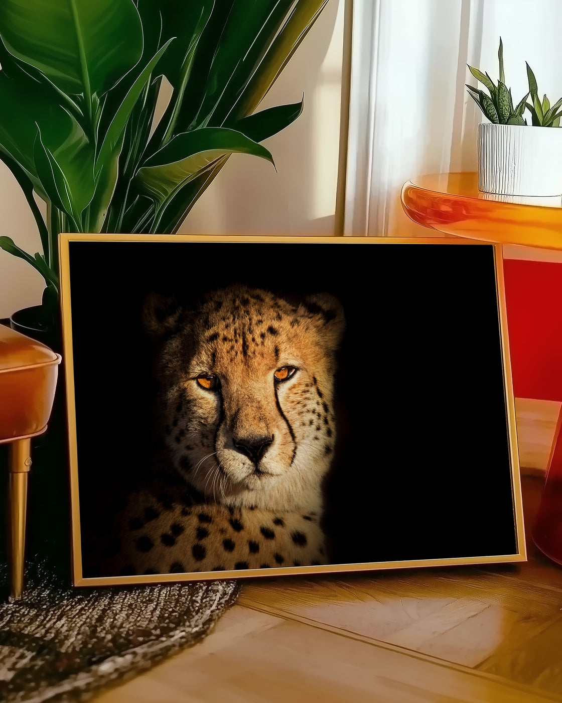 canvas