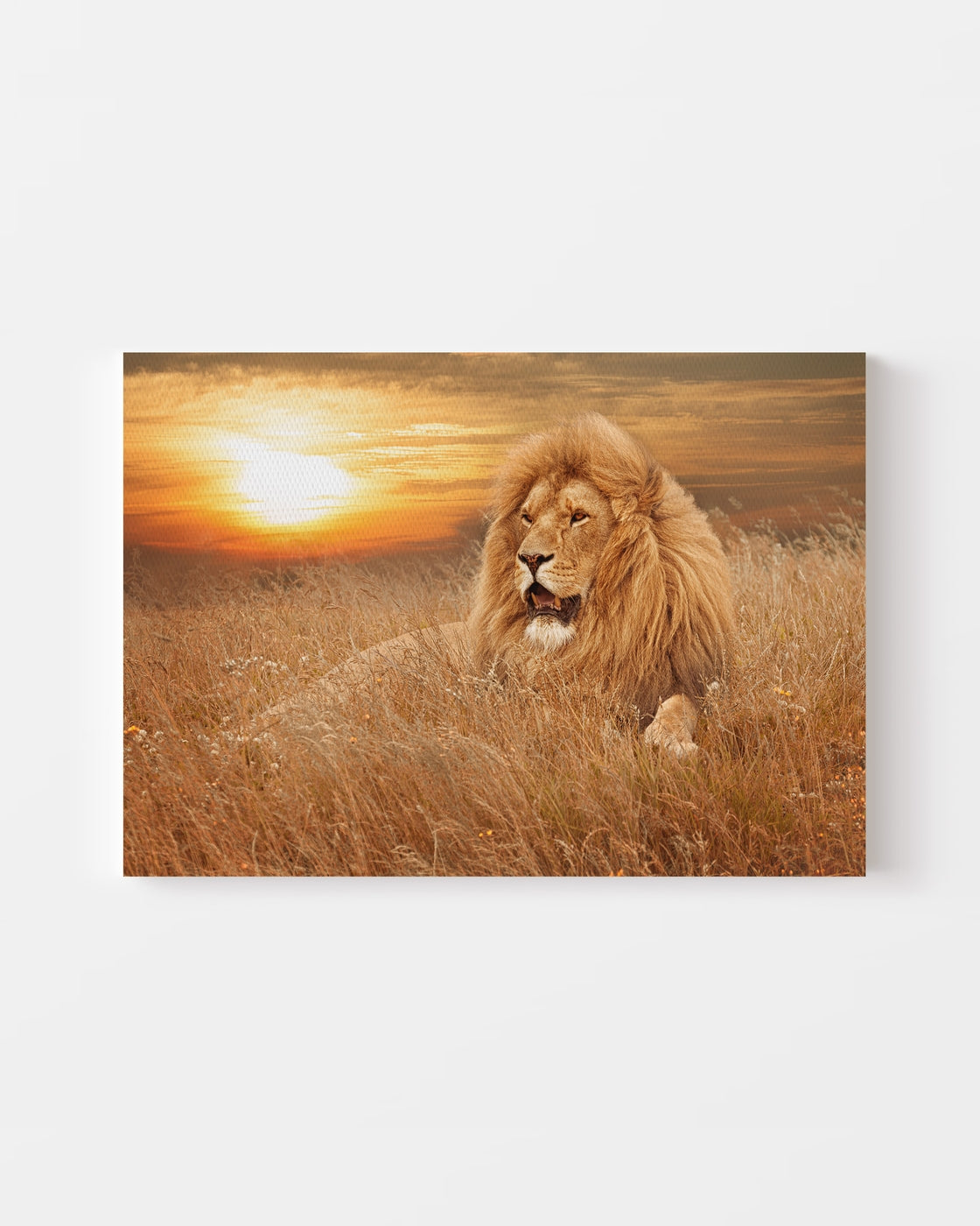 stretched-canvas