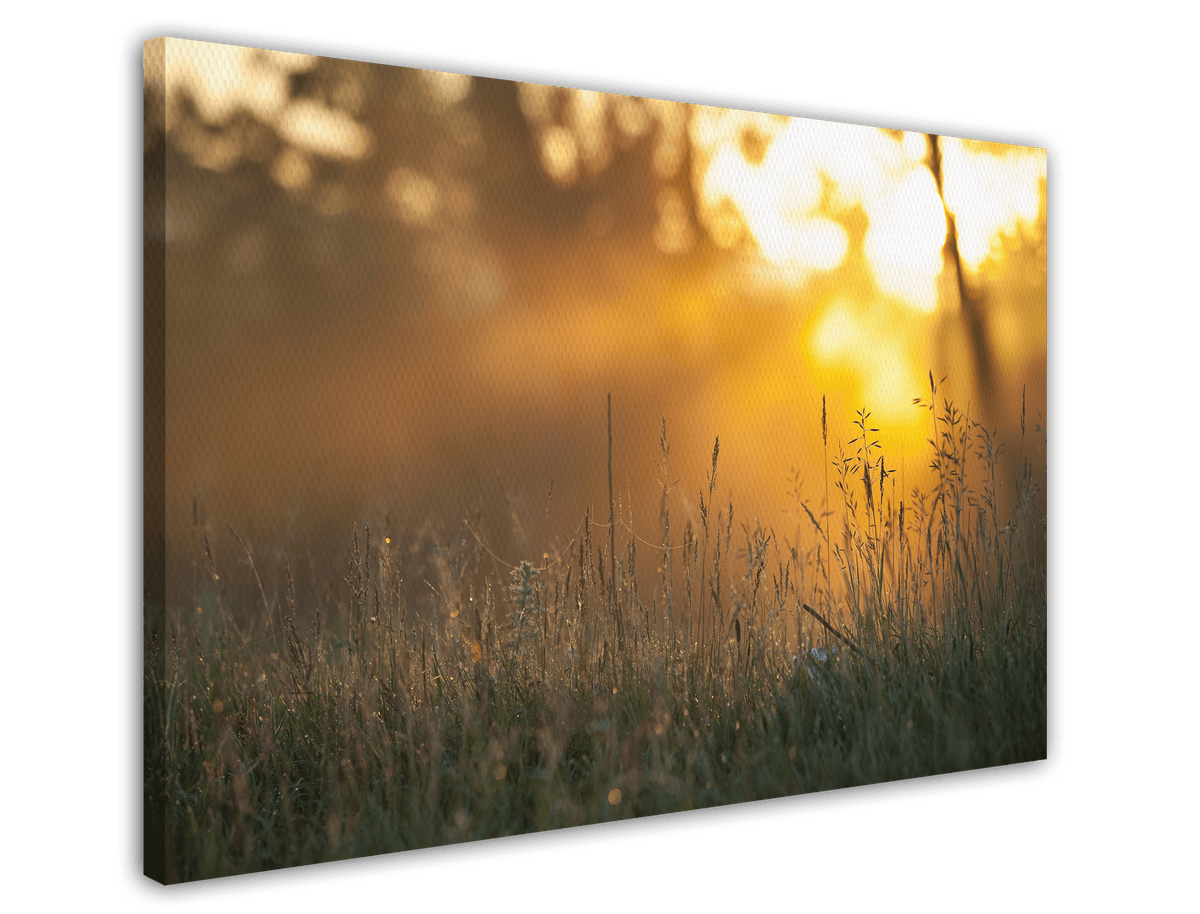 stretched-canvas
