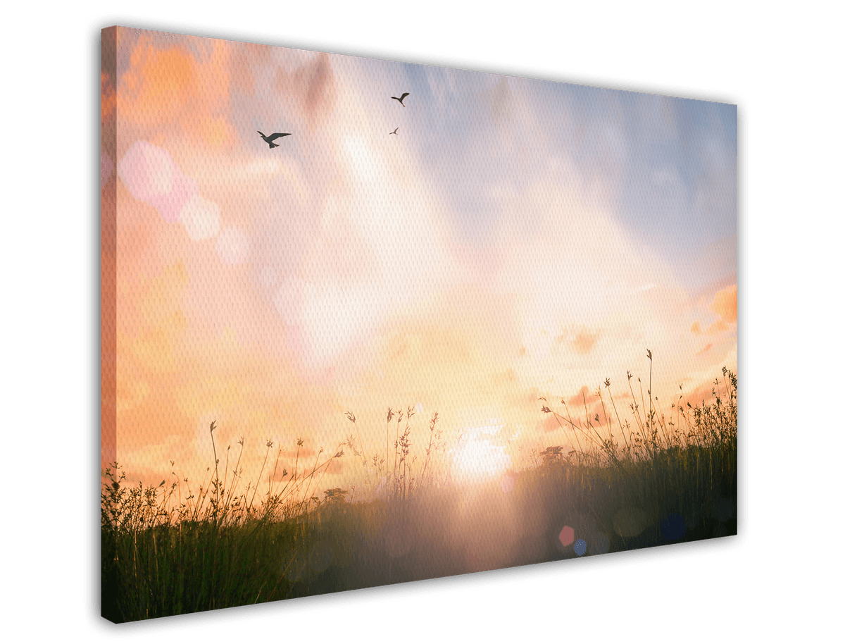 stretched-canvas