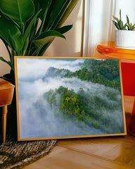 After Hover: Wälder im Nebel