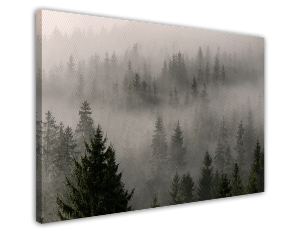 Wald im Nebel