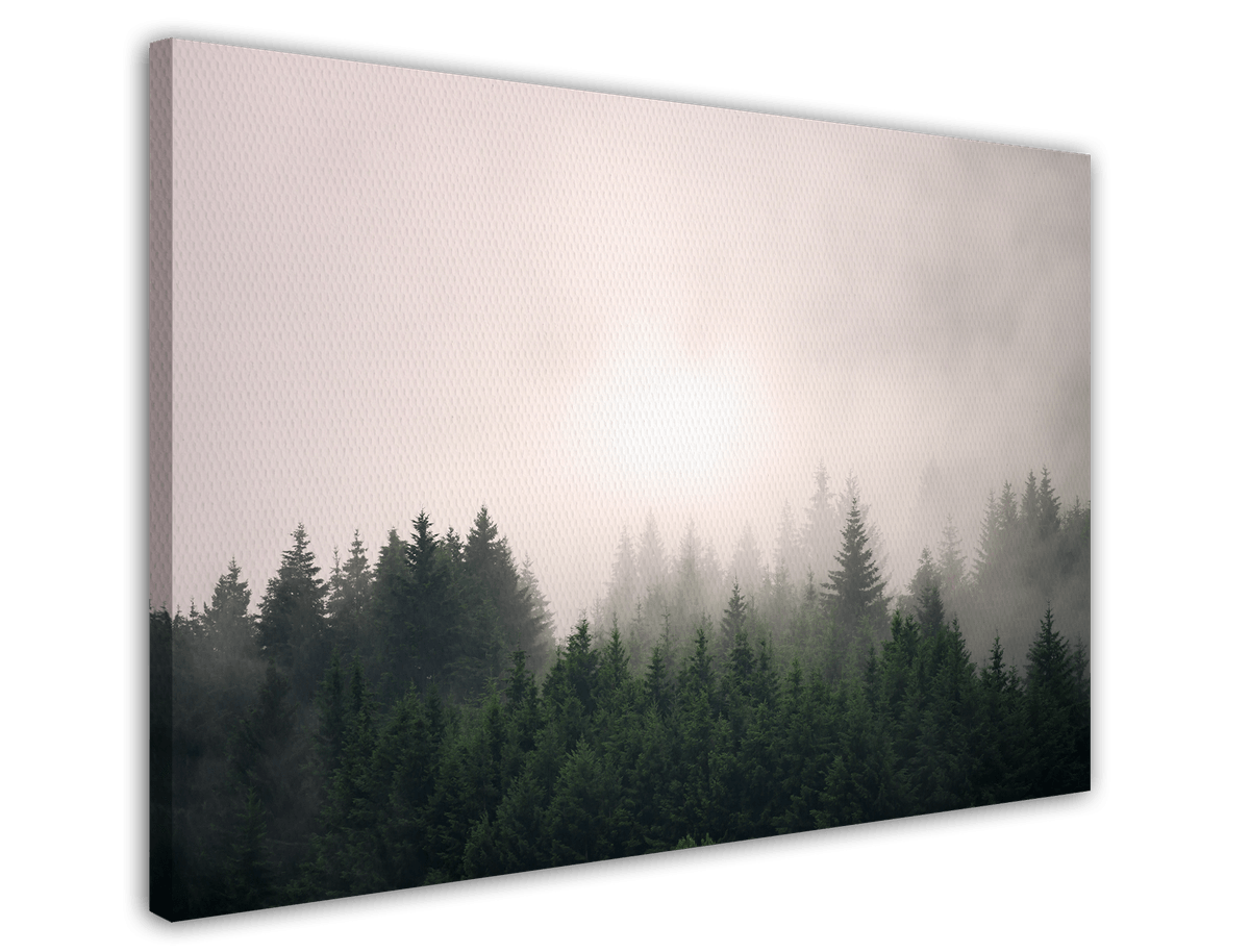 stretched-canvas