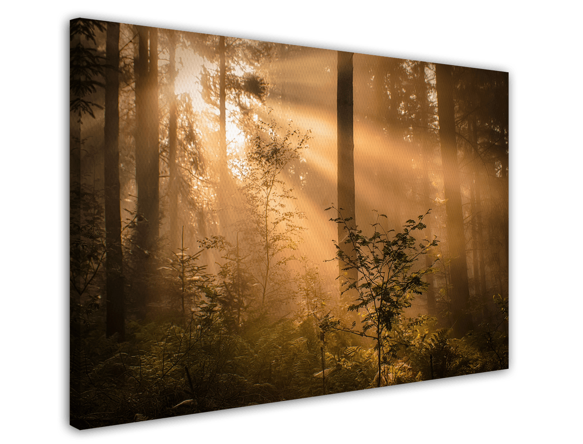 stretched-canvas