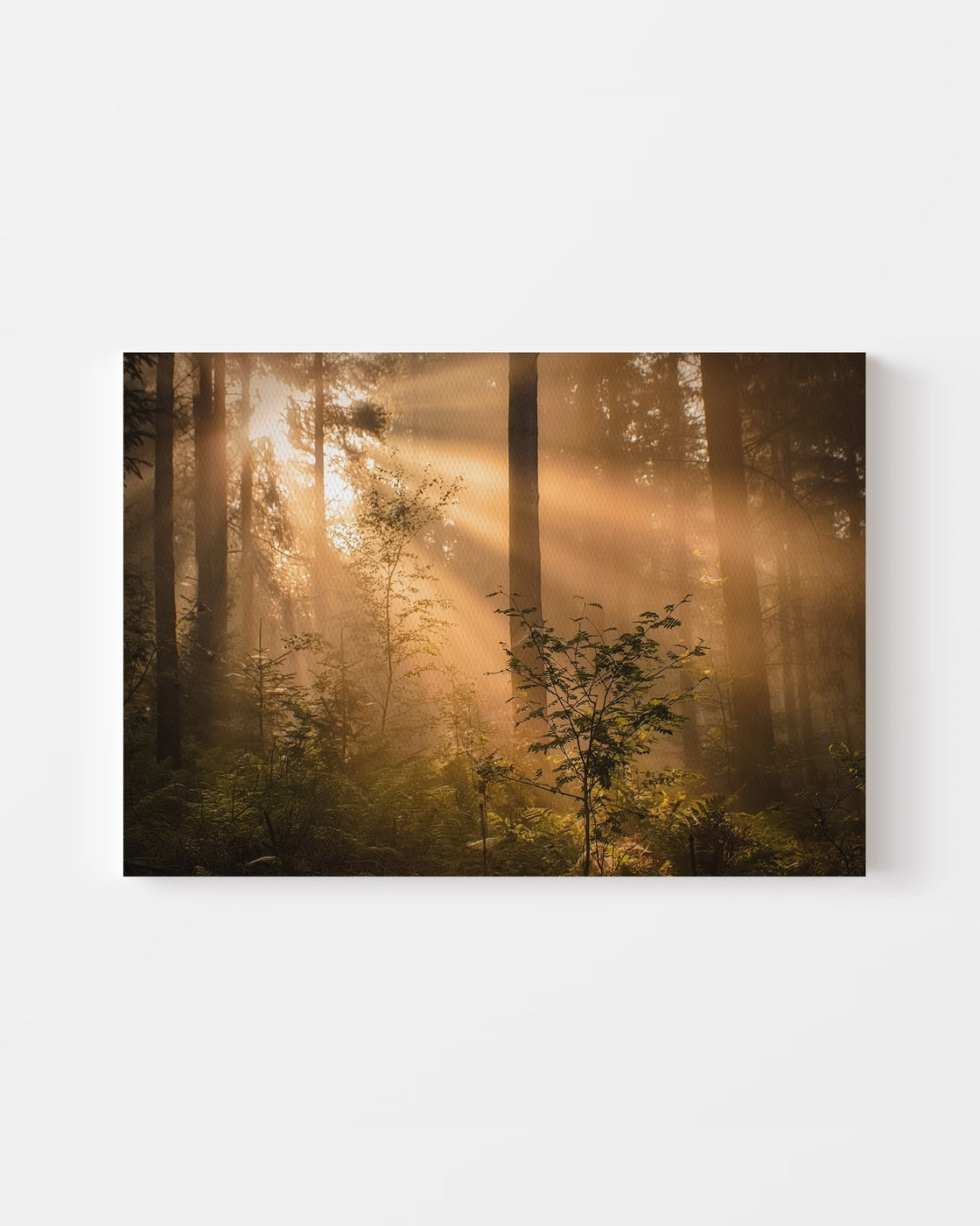 stretched-canvas
