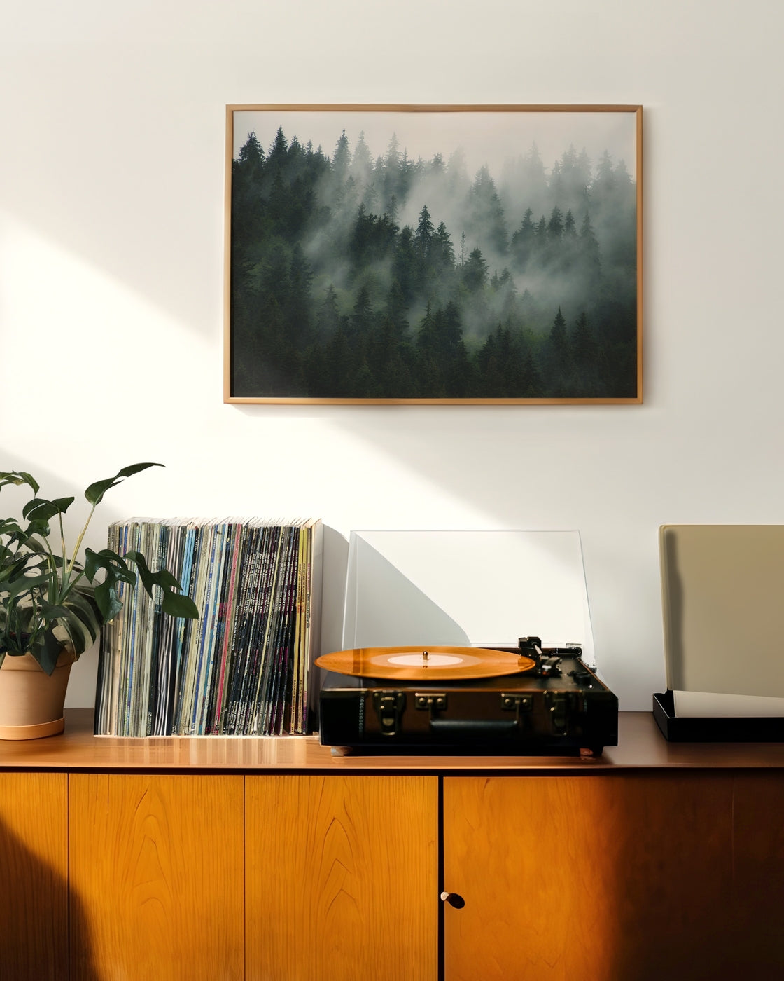 canvas