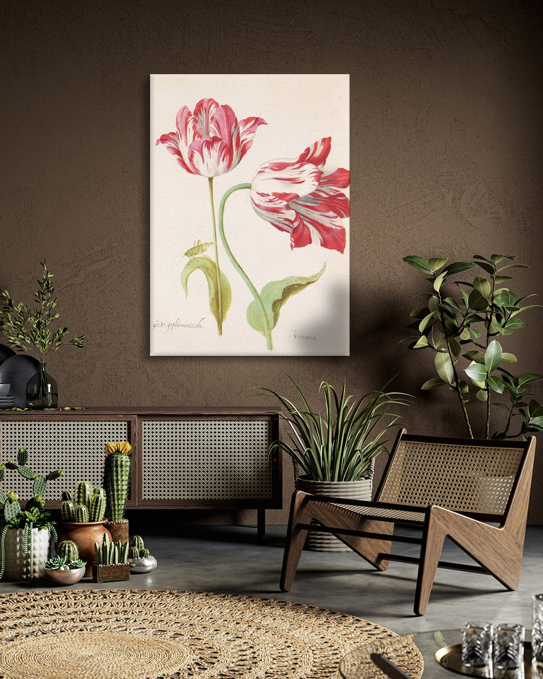 stretched-canvas