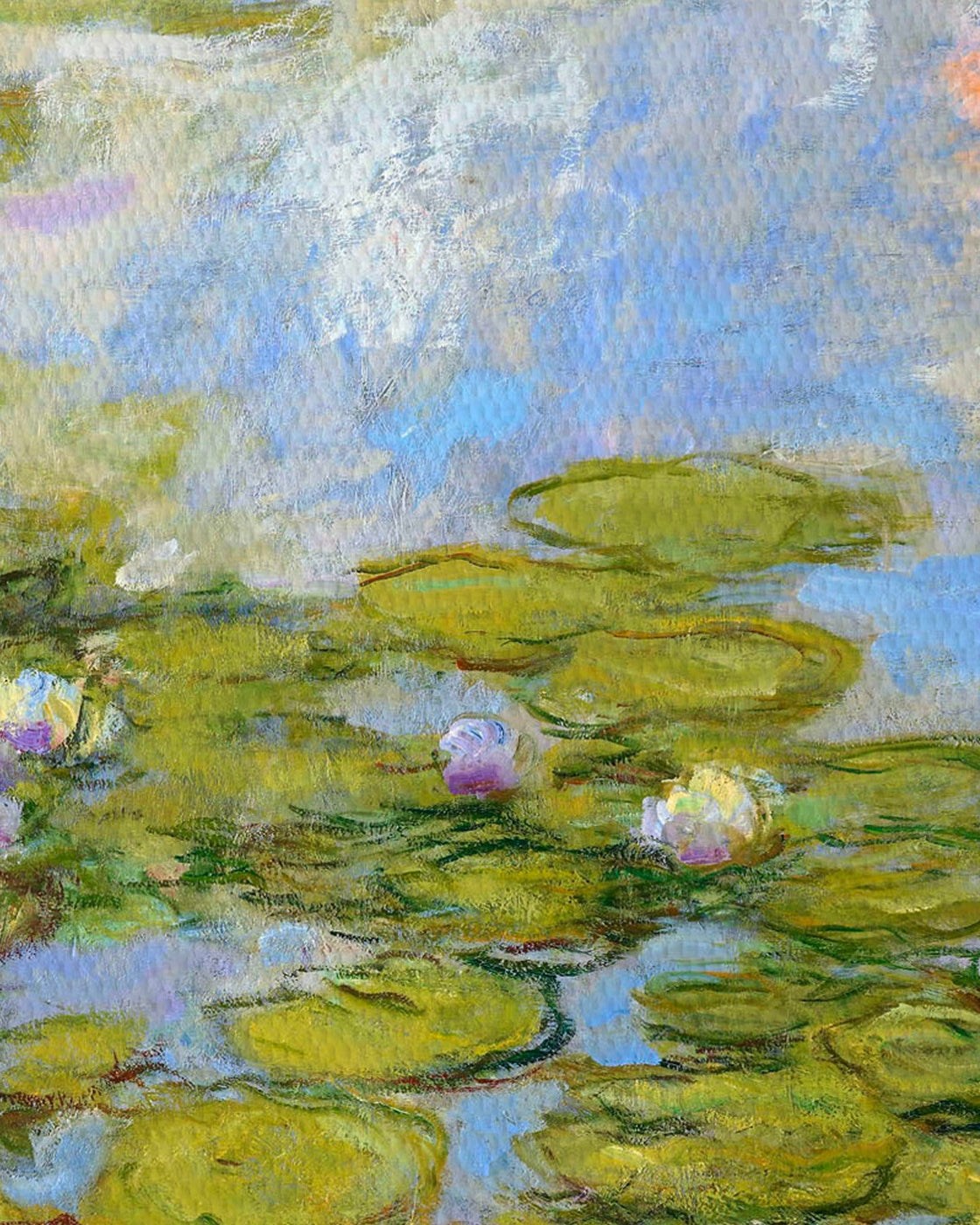canvas